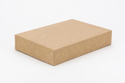 Box4Sushi No Window_26x19x5.jpg